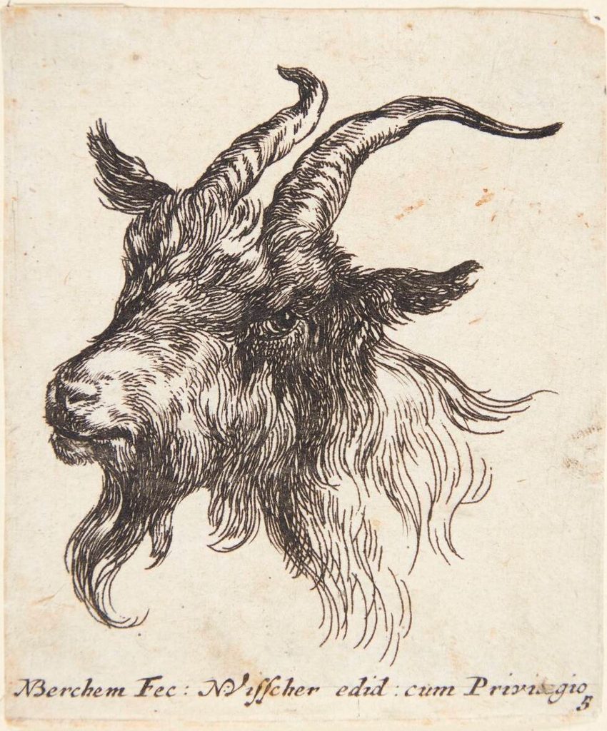 Gedehoved vendt mod venstre by Nicolaes Berchem