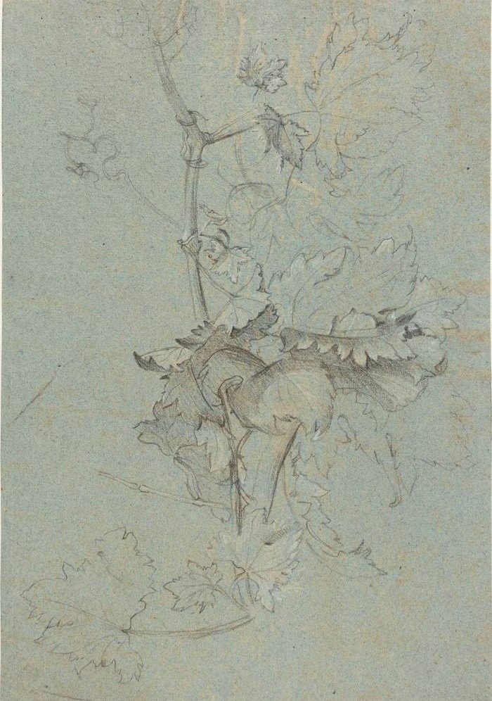 Plantestudie by Rachel Ruysch
