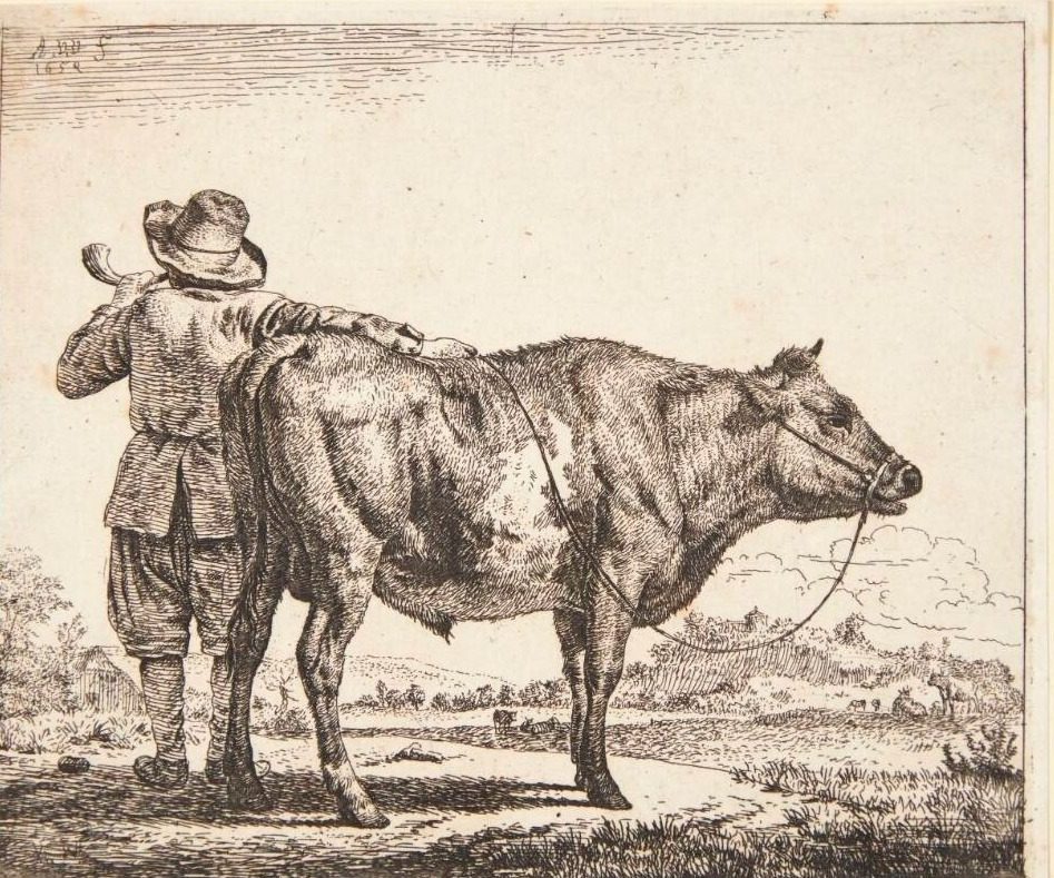Ung hyrde med en tyr by Adriaen van de Velde