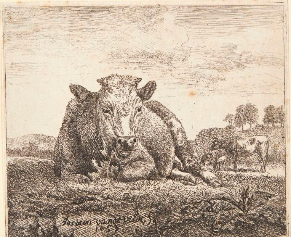 Liggende ko by Adriaen van de Velde