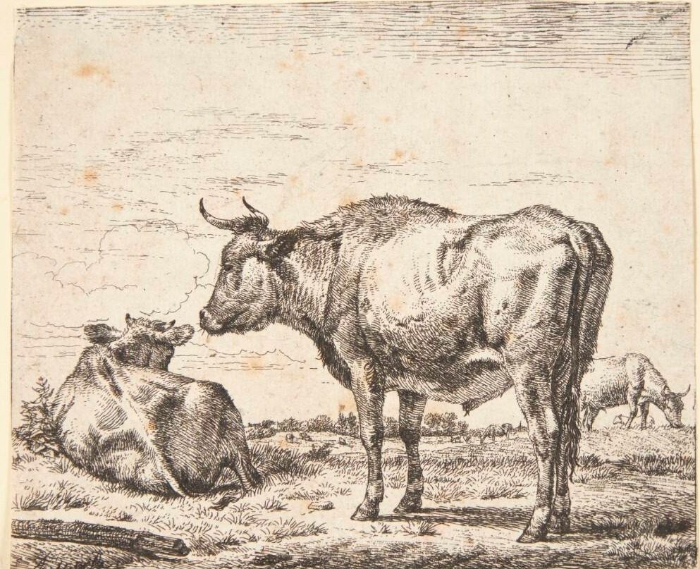 Stående tyr by Adriaen van de Velde