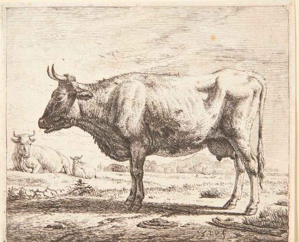 To køer og et får by Adriaen van de Velde