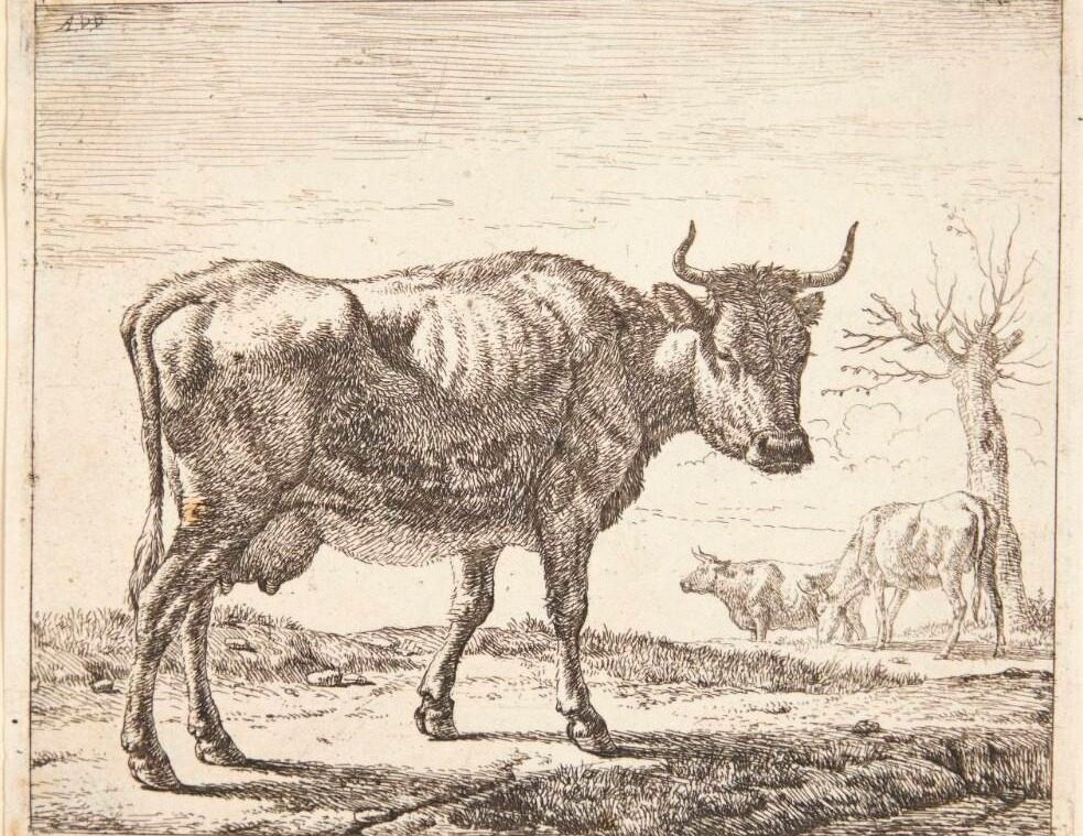 Tre køer by Adriaen van de Velde