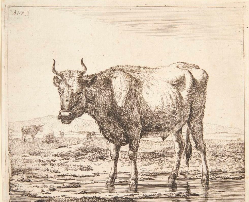 Tyr stående i vand by Adriaen van de Velde