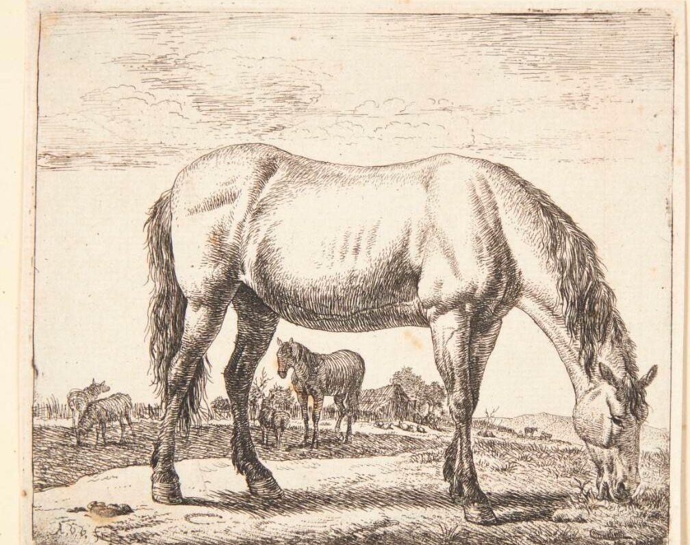 Græssende hest by Adriaen van de Velde