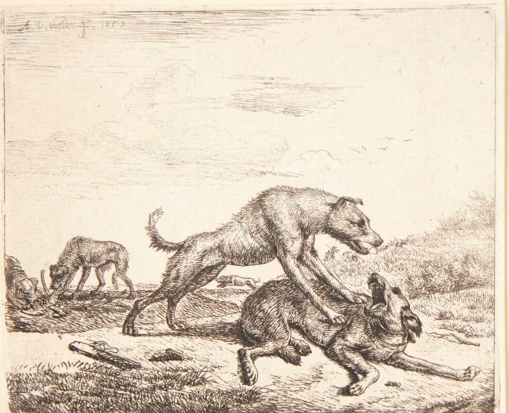 Hunde i slagsmål by Adriaen van de Velde