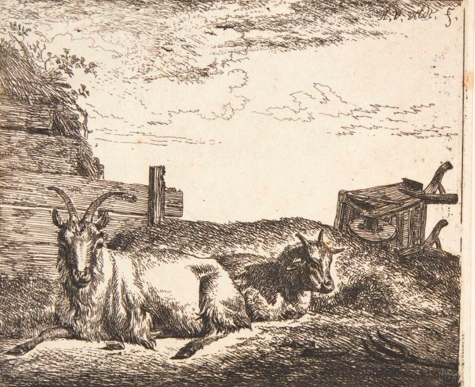 Liggende geder by Adriaen van de Velde