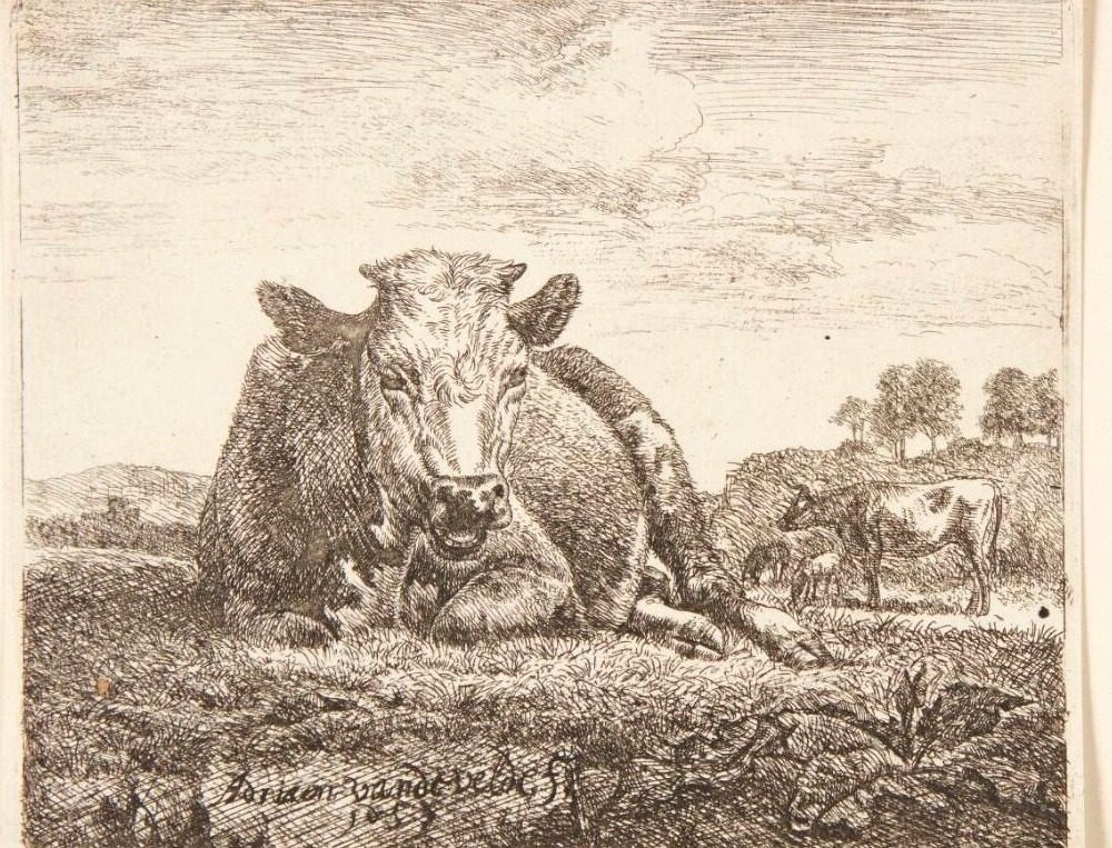 Liggende ko by Adriaen van de Velde