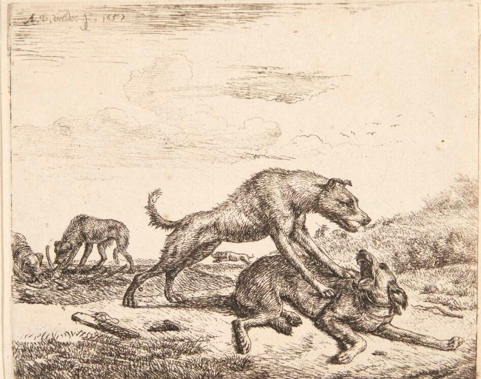 Hunde i slagsmål by Adriaen van de Velde