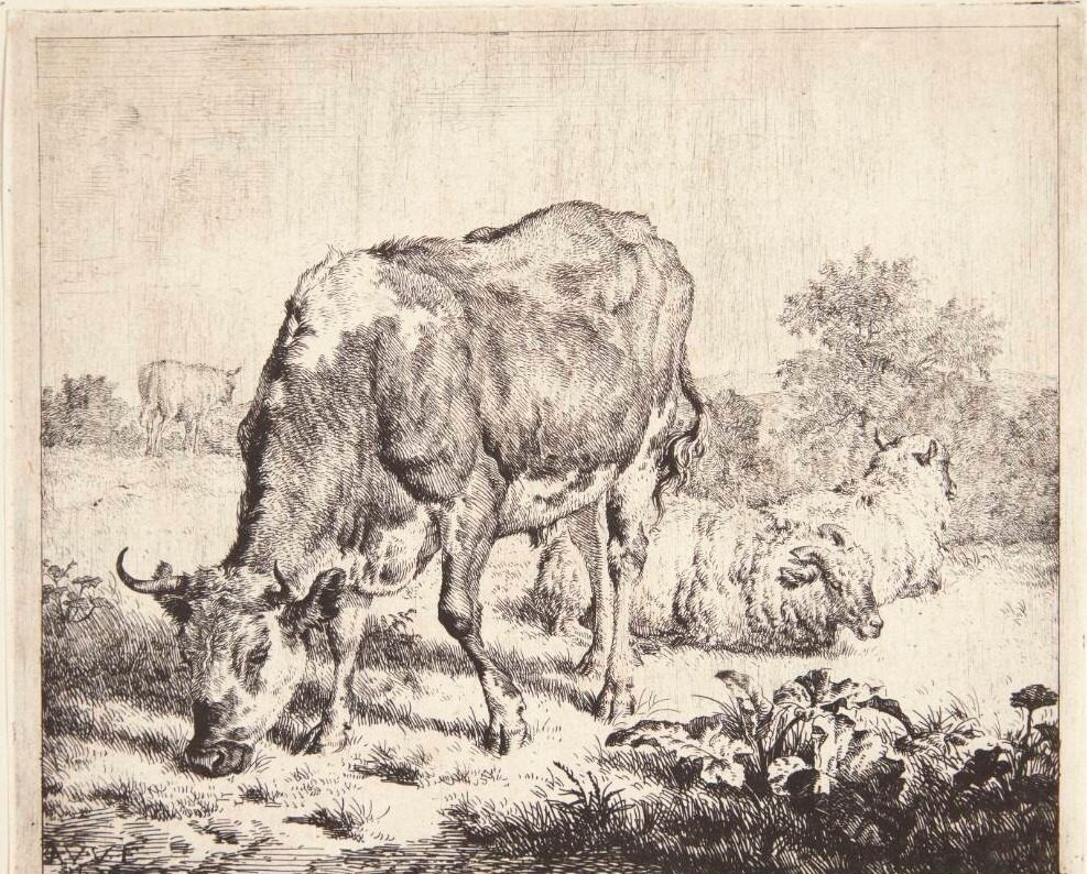 Broget tyr og tre får by Adriaen van de Velde
