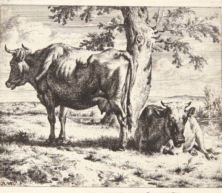 To køer under et træ by Adriaen van de Velde