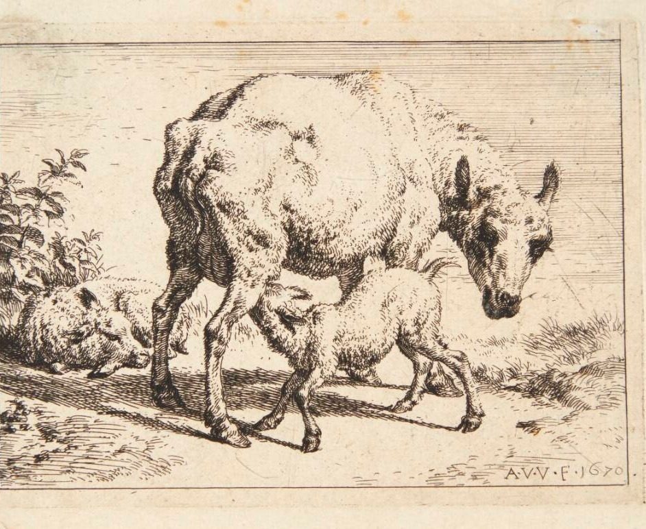 Får og to lam by Adriaen van de Velde