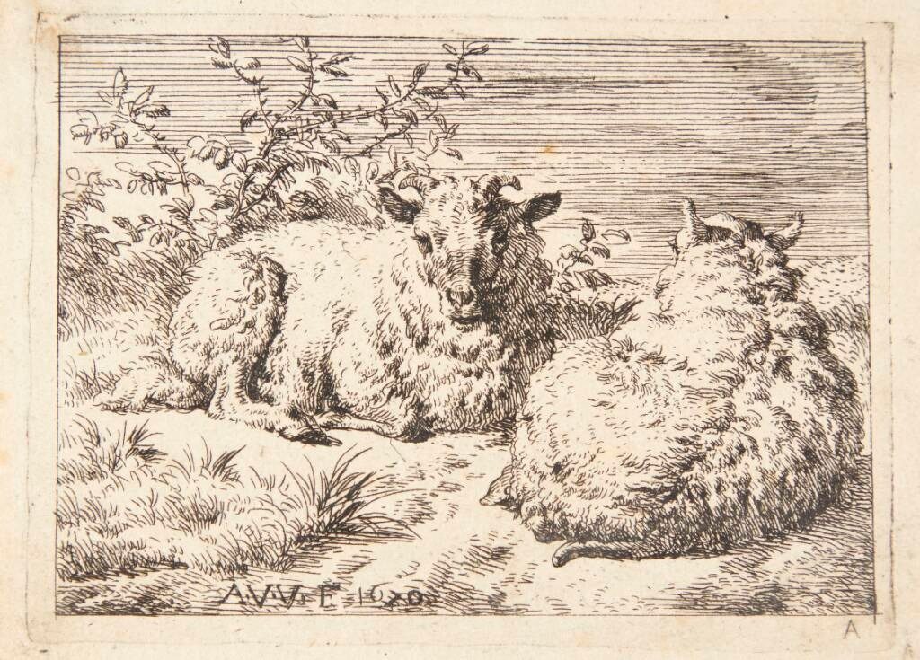 To liggende får by Adriaen van de Velde