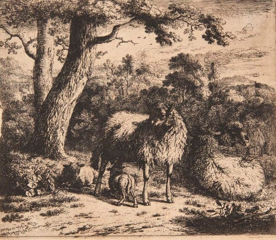 Stående får med to lam by Jan van der Meer (II)