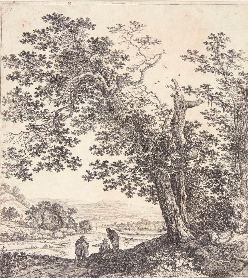 Panorama med en flod, i forgrunden et dobbeltstammet træ by Herman Saftleven