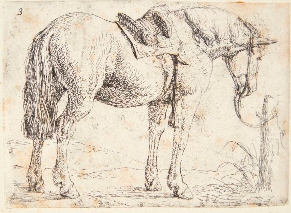 Opsadlet hest, tøjret ved en pæl by Jan van Aken