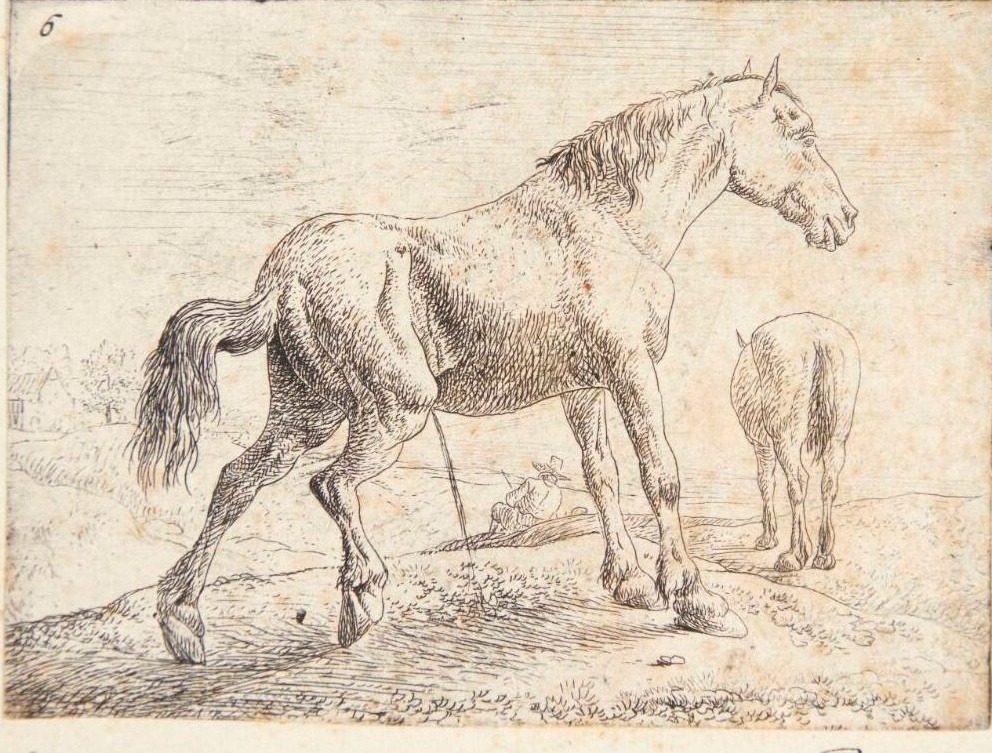 Pissende hest, i baggrunden en hest set bagfra og en hvilende mand by Jan van Aken