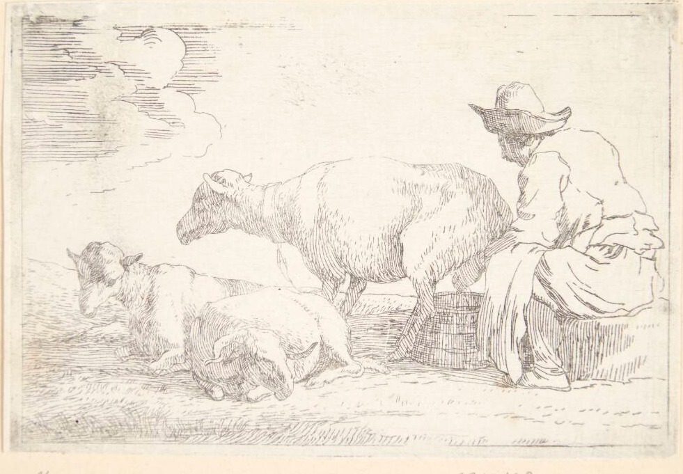 En fårehyrde malker sine får by Jan Miel