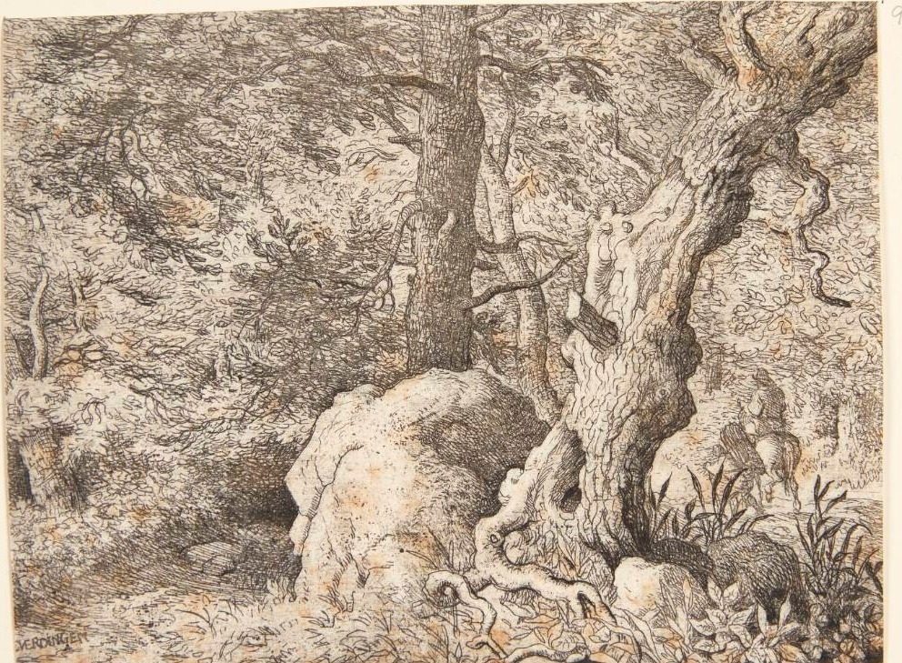 En skov by Allaert van Everdingen