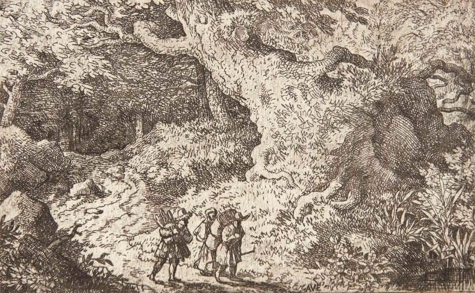 En tæt skov by Allaert van Everdingen