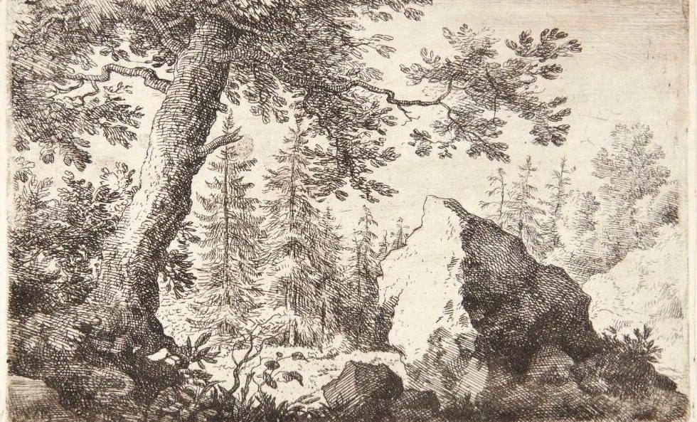 Skov med en stor sten by Allaert van Everdingen