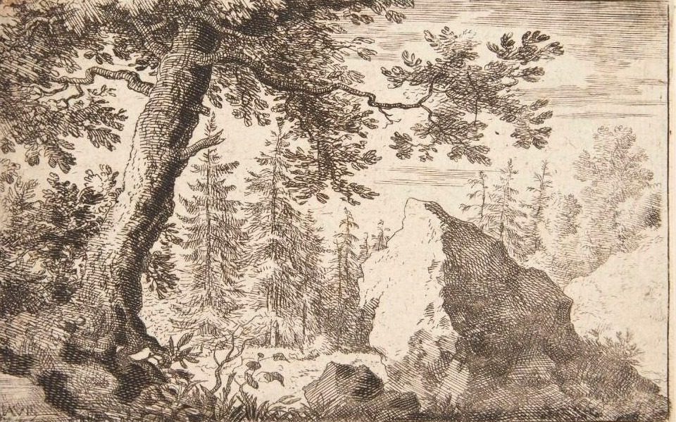 Skov med en stor sten by Allaert van Everdingen