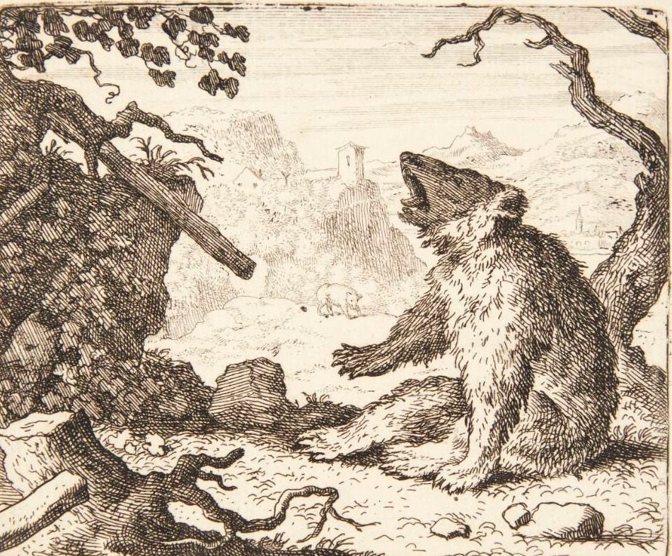 Bjørnen kalder Renard i retten by Allaert van Everdingen