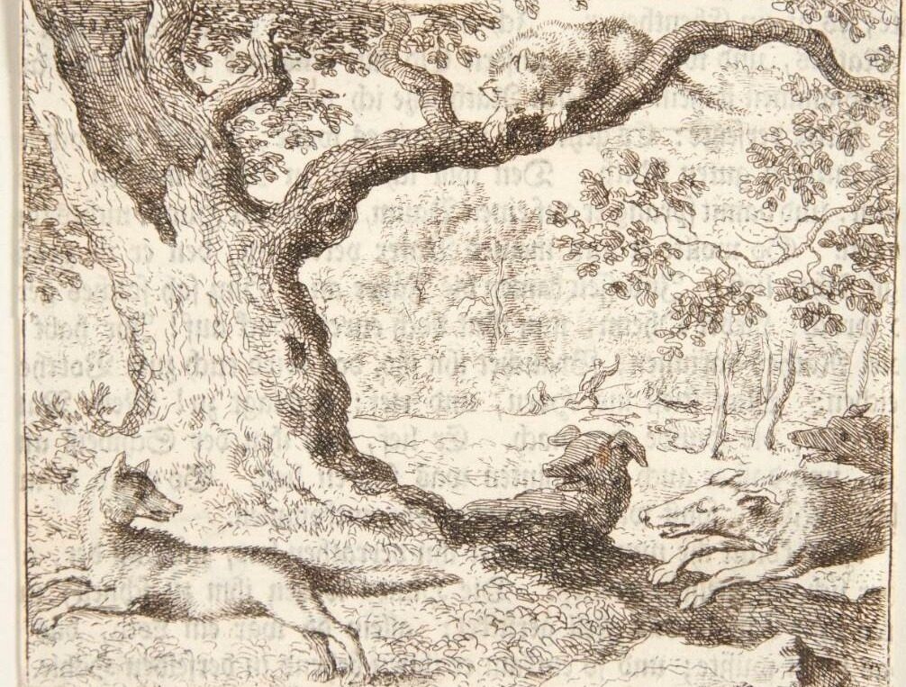 Den illoyale kat by Allaert van Everdingen