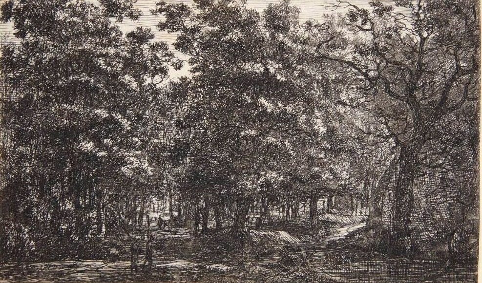 Skovlandskab, Seuniger by Roelant Roghman