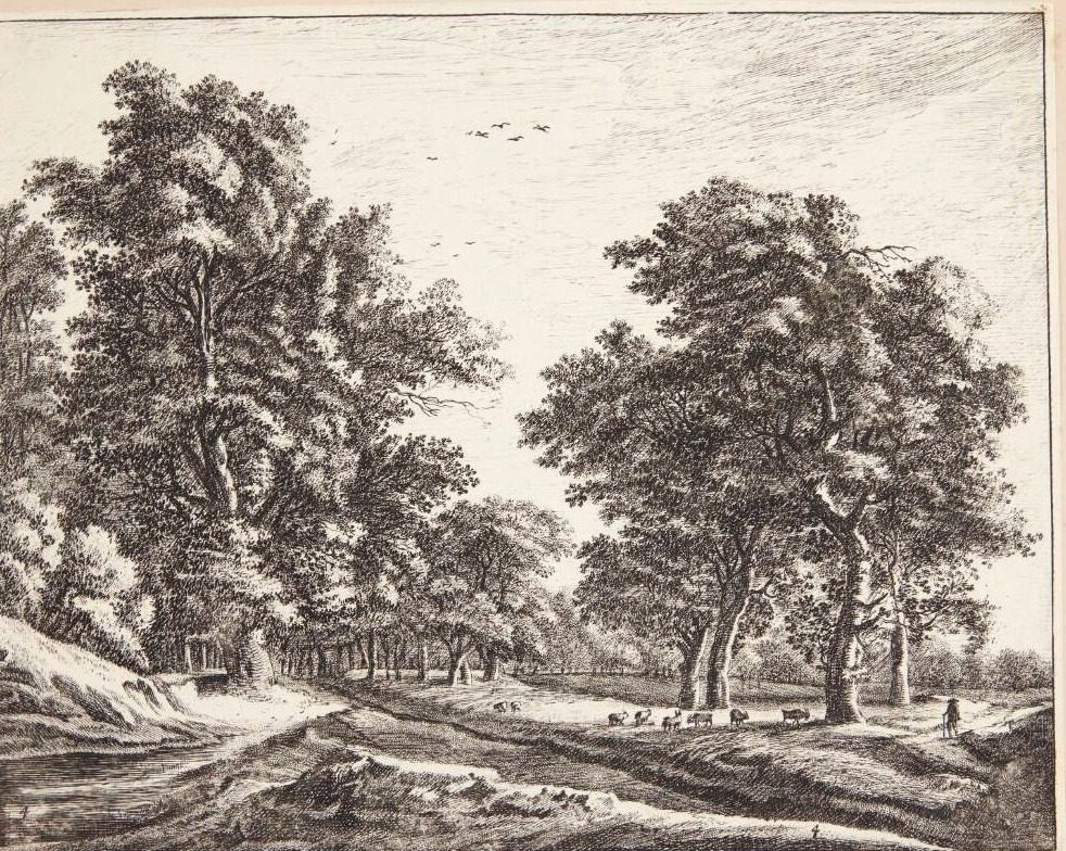Skovparti med geder og en hyrde by Roelant Roghman