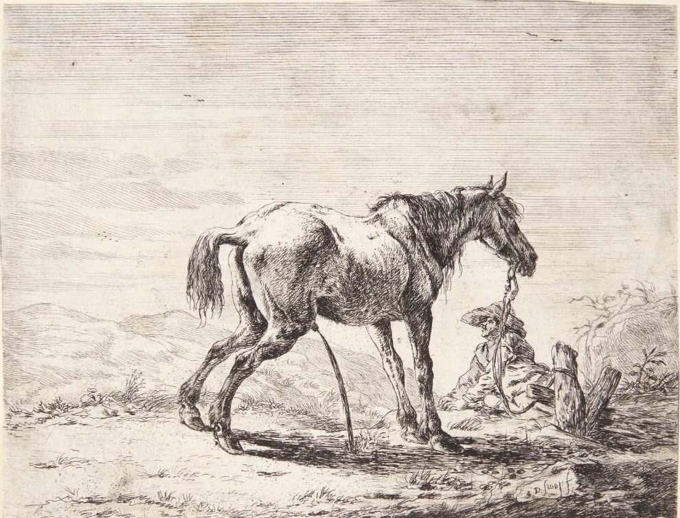 Pissende hest by Dirk Stoop
