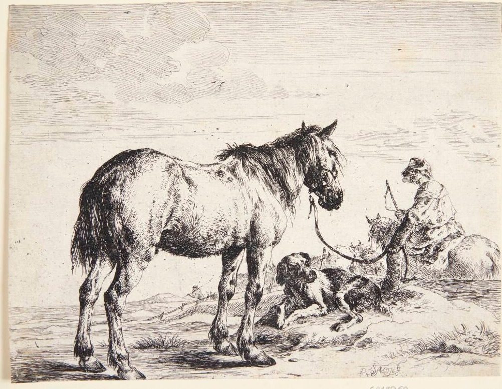 Hest tøjret til en pæl by Dirk Stoop