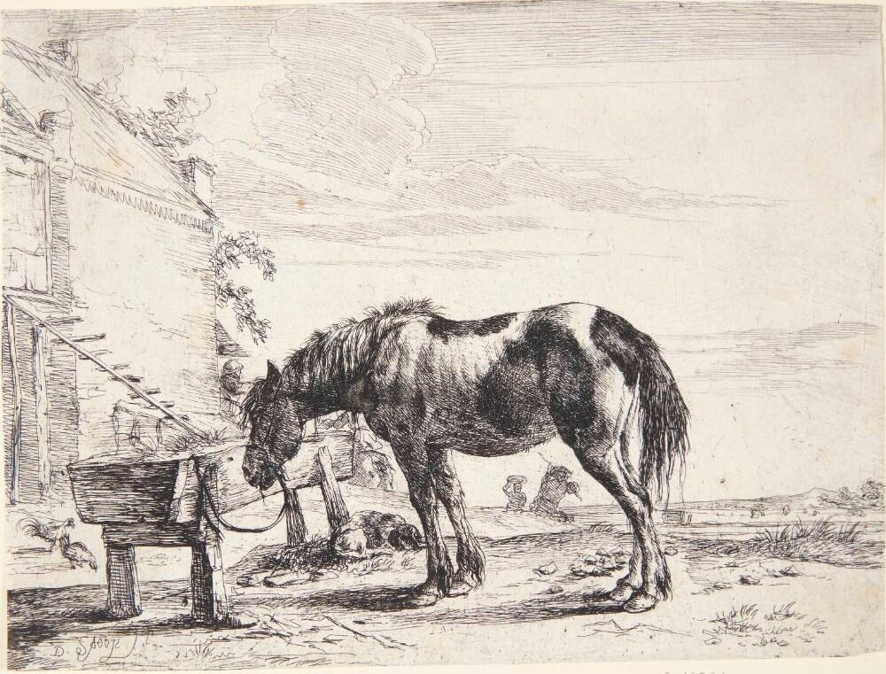 Hest tøjret til et fodertrug by Dirk Stoop