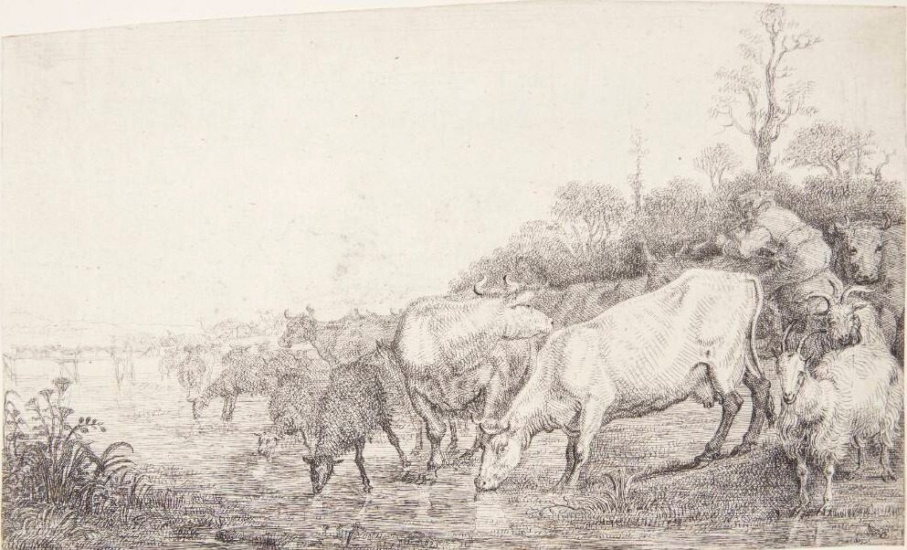 Drikkende kvæg by Gerrit Claesz. Bleker