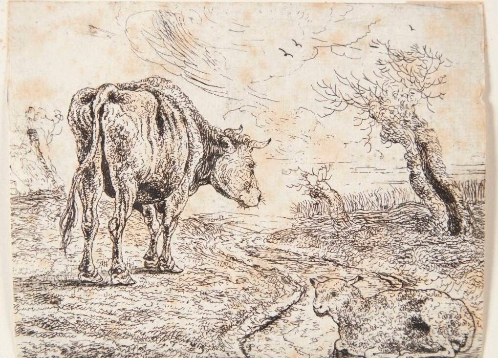Okse og får by Jan Jansz. den Uyl II