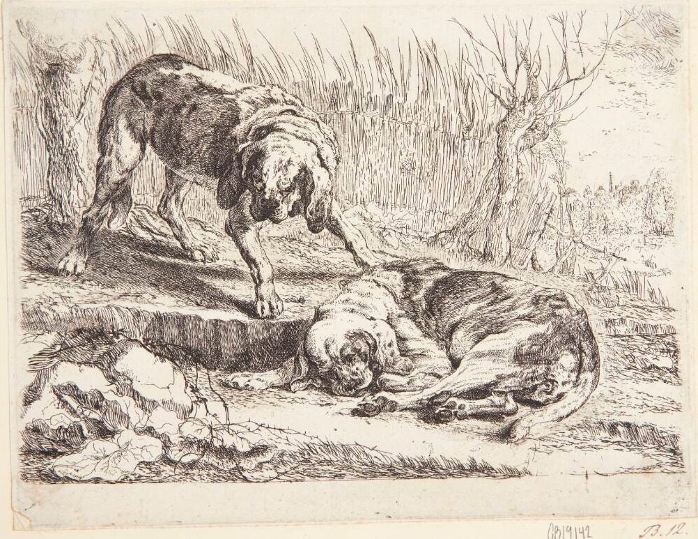 To jagthunde by Joannes Fijt
