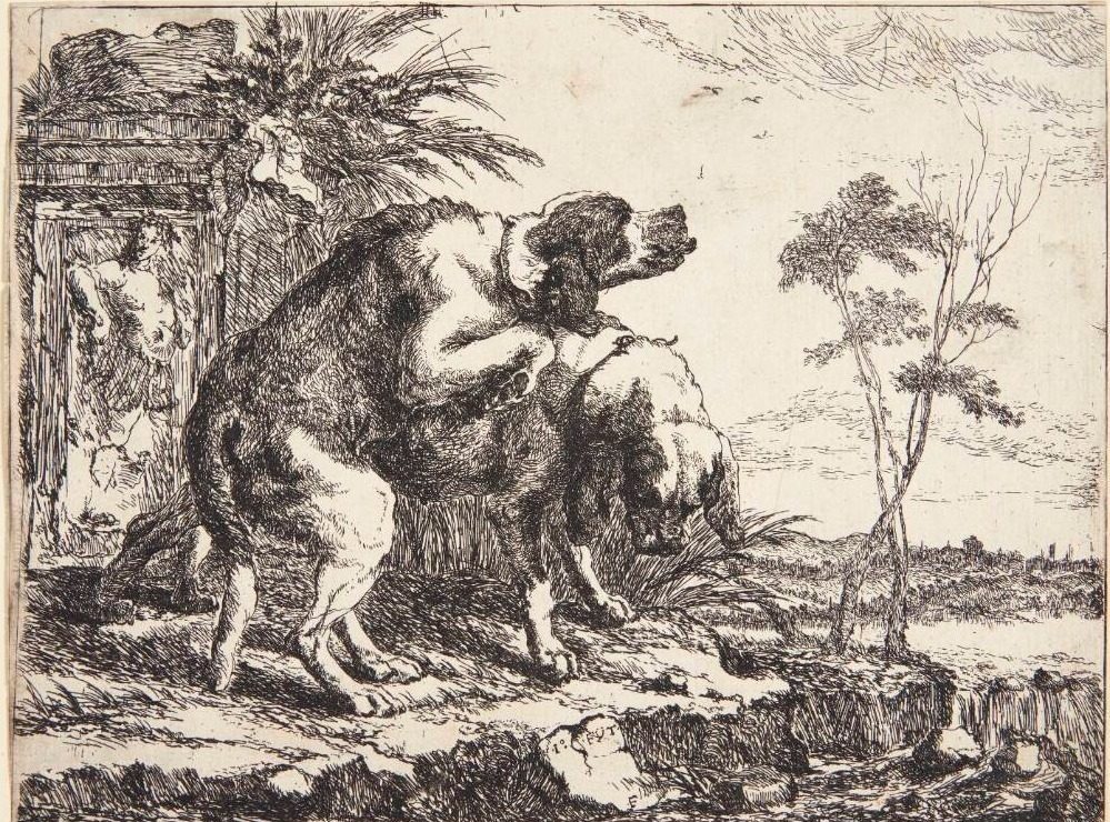 Hunde, der parrer sig by Joannes Fijt