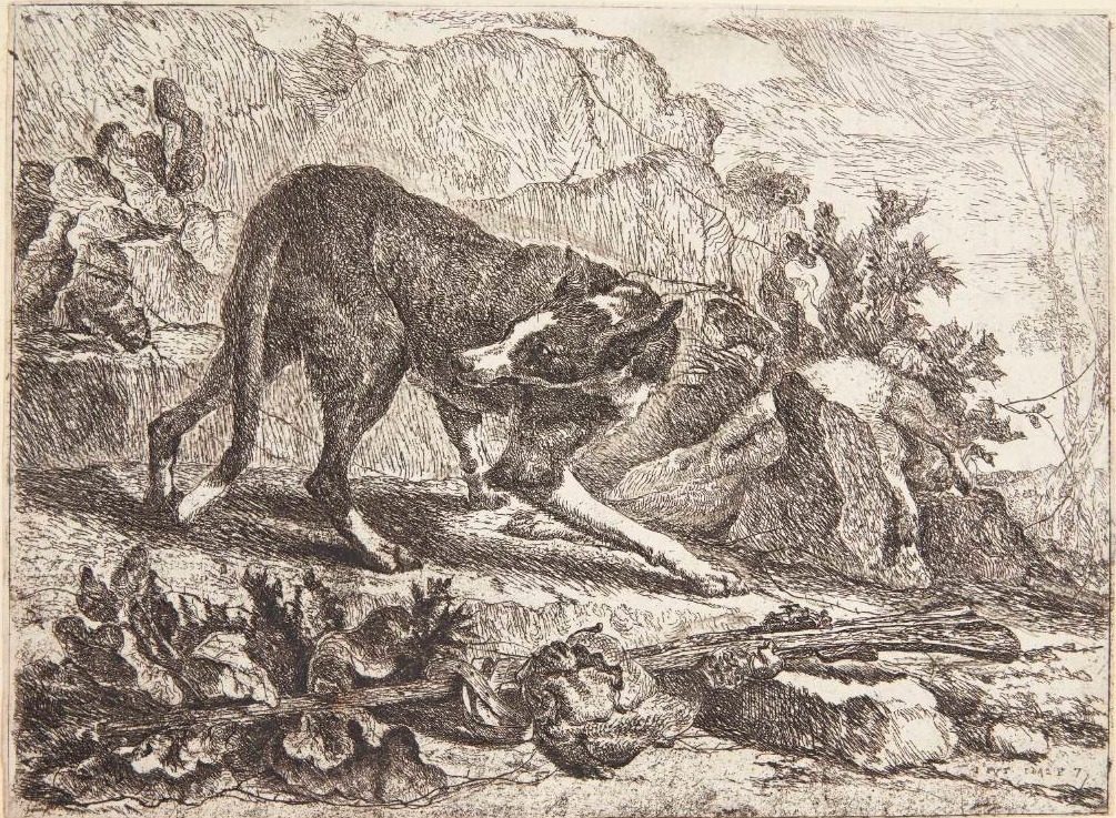 Hund, der leger by Joannes Fijt