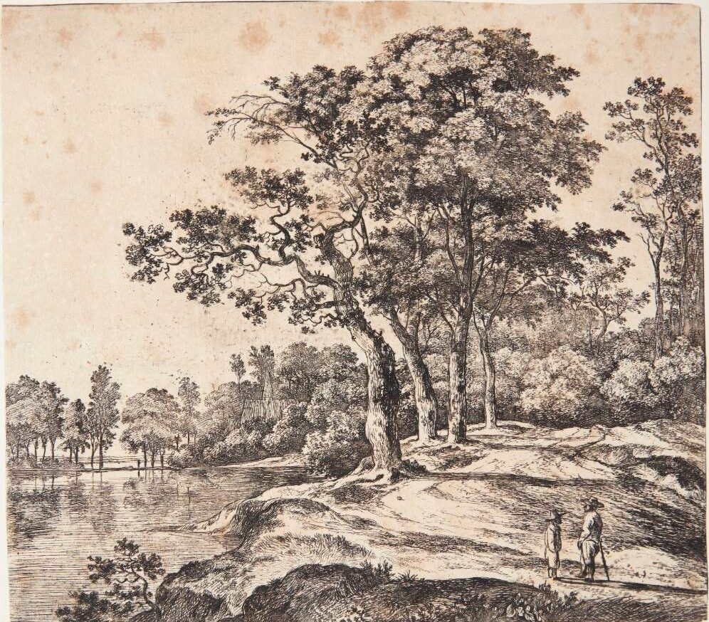 En gruppe træer by Jan Hackaert