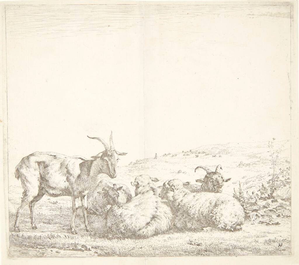 To geder og tre får by Karel Du Jardin