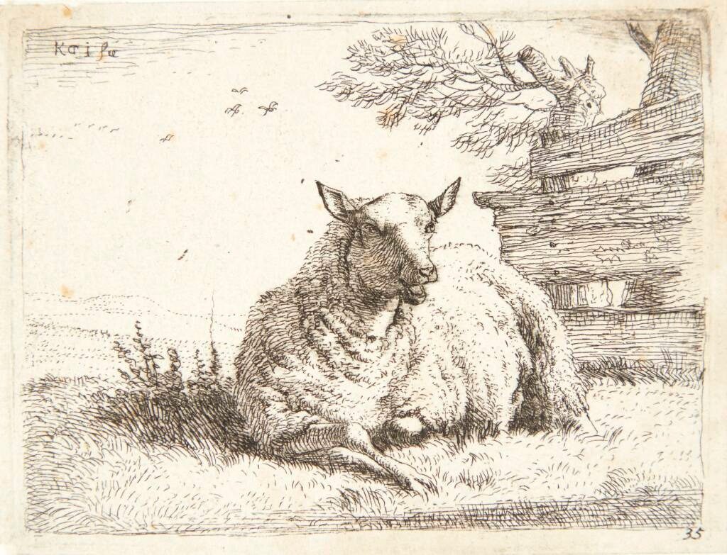 Liggende får nær et trægærde by Karel Du Jardin