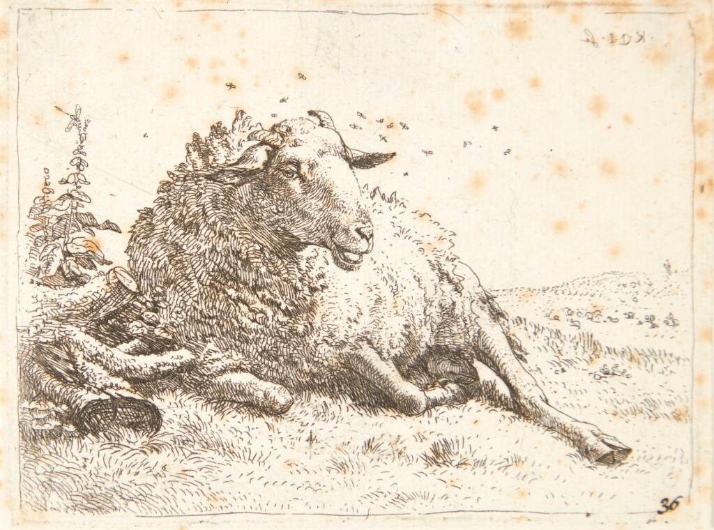 Liggende får ved en træstub by Karel Du Jardin