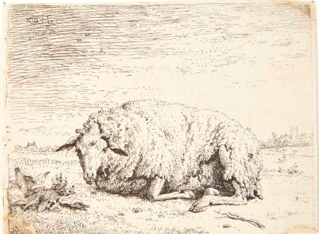 Liggende får by Karel Du Jardin
