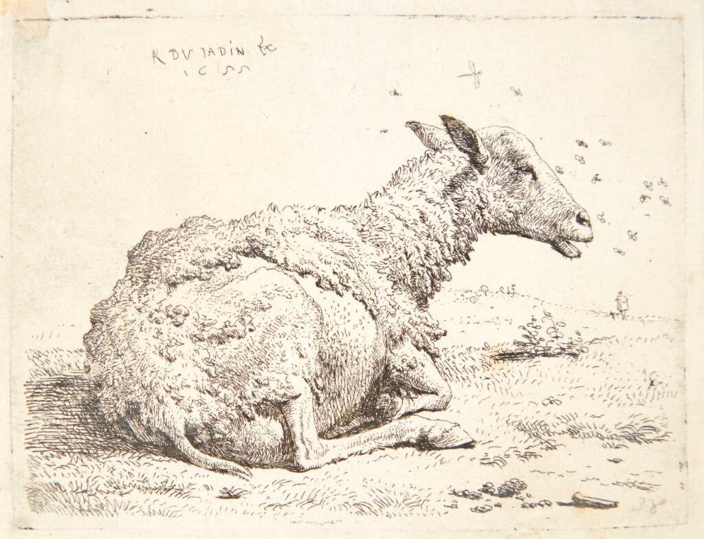 Fåret og fluerne by Karel Du Jardin