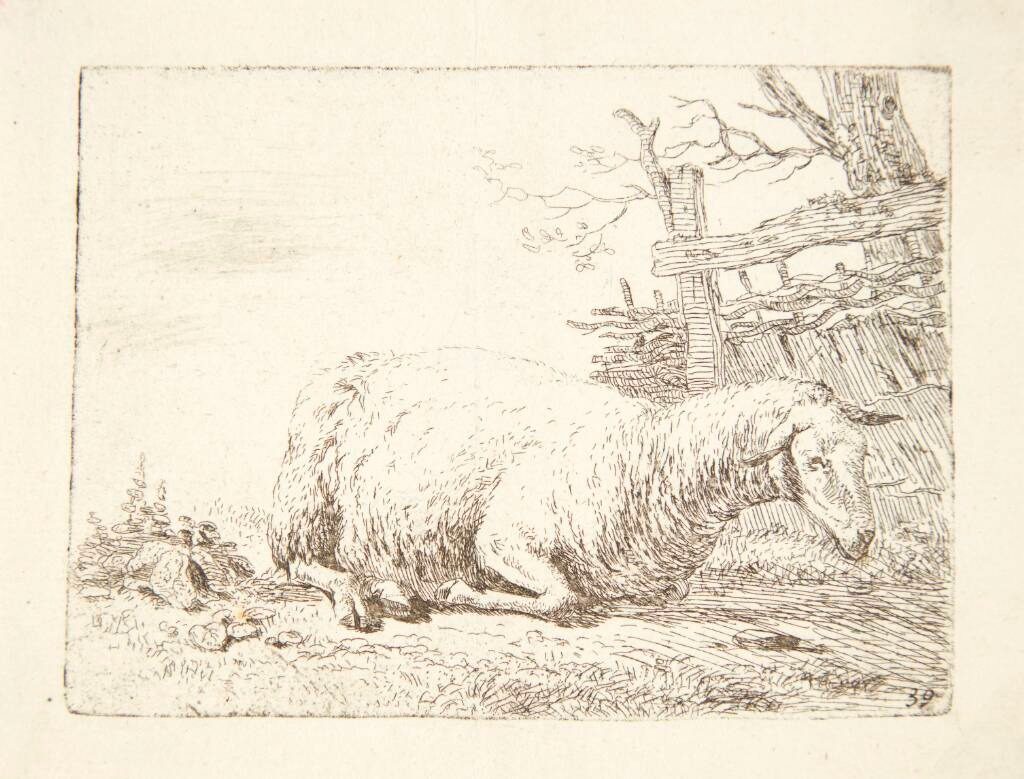 Liggende får ved et hegn by Karel Du Jardin