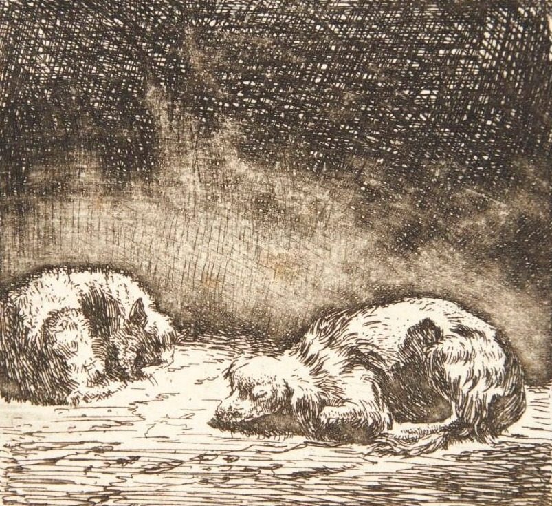 To får by Karel Du Jardin