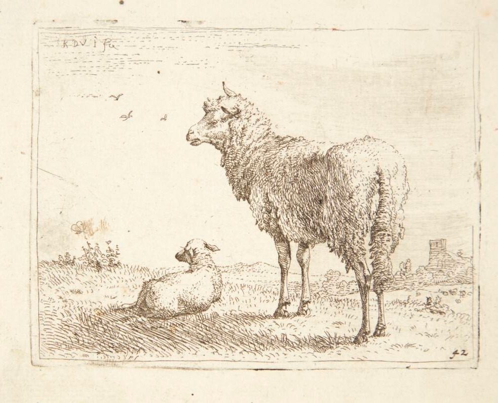 Får med et lam by Karel Du Jardin