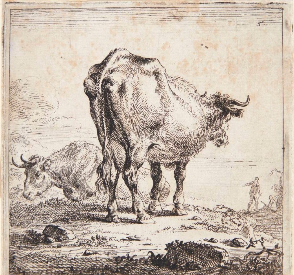 Liggende ko og en stående ko set bagfra by Nicolaes Berchem
