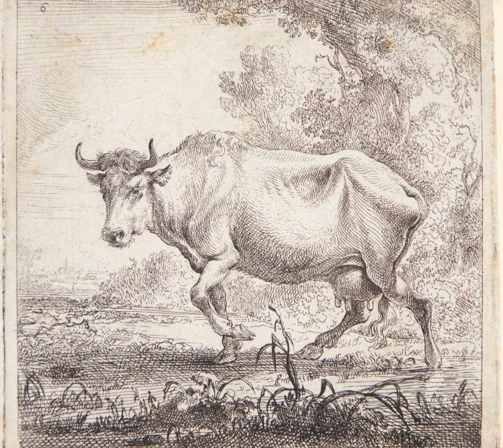 Gående ko by Nicolaes Berchem