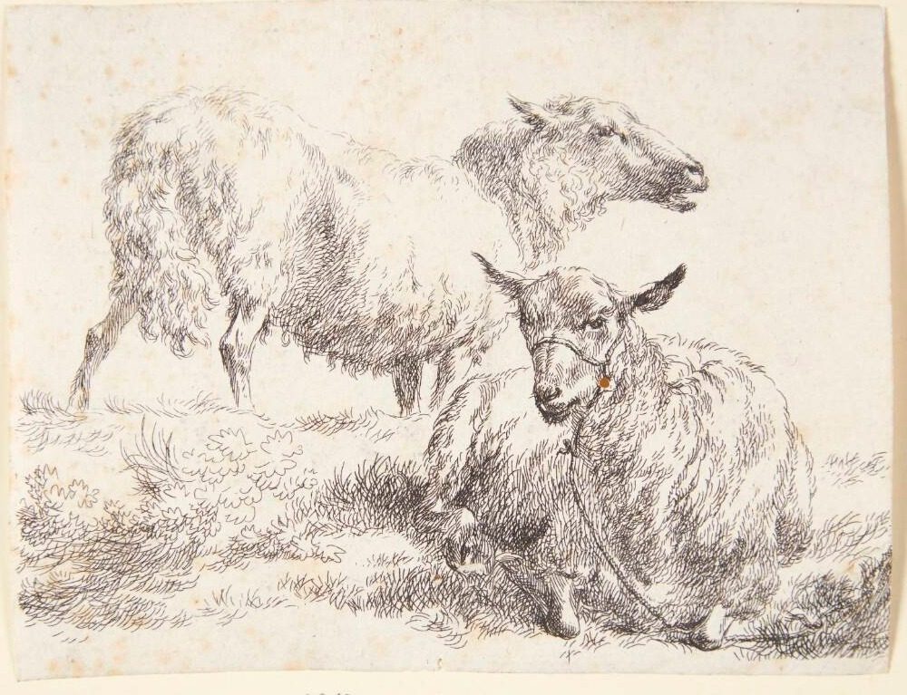 Et stående og et liggende får by Nicolaes Berchem